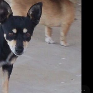 Meet your Posher, Jay